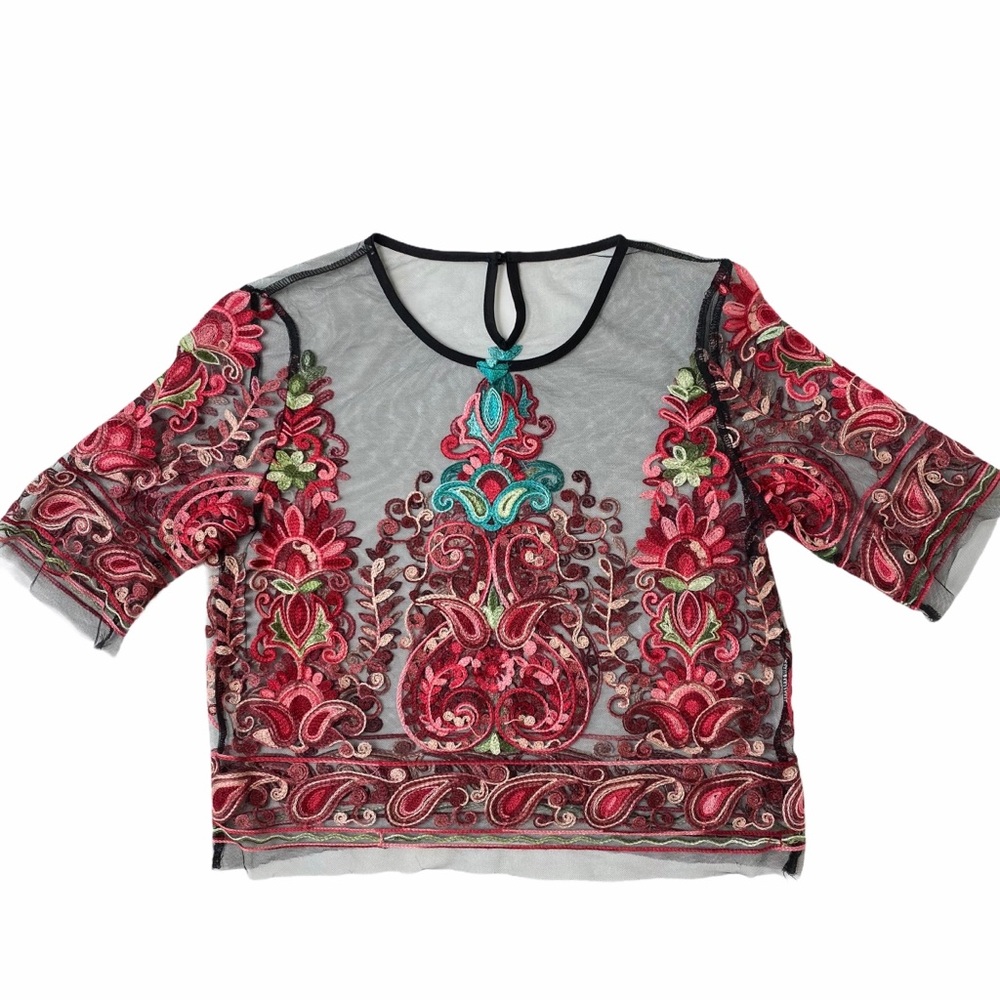 Sheer Embroidered Cropped Top